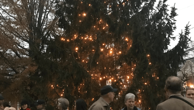 tree lighting
