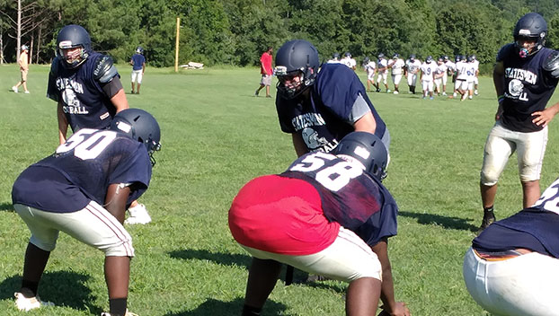 Randolph-Henry Statesmen