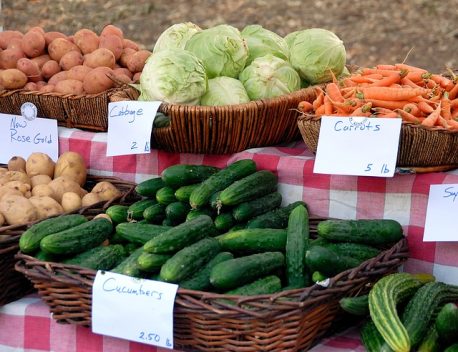 Charlotte County farms