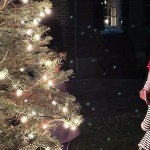 Charlotte County Christmas tree lighting