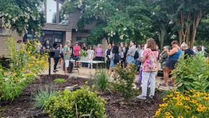 Boydton Pollinator project