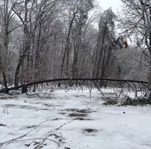 Charlotte County