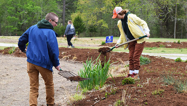 volunteers
